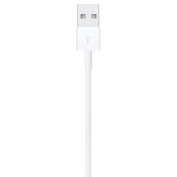 Apple Câble Lightning vers USB - 1 mètre