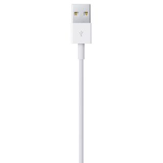 Apple Câble Lightning vers USB iPhone 13 - 50 cm