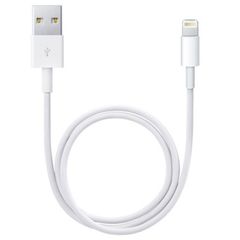 Apple Câble Lightning vers USB iPhone 13 Pro Max - 50 cm