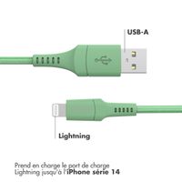 imoshion ﻿Câble Lightning vers USB - Non MFi - Textile tressé - 2 mètre - Vert