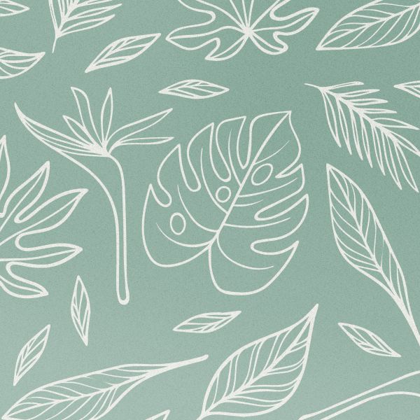 imoshion Coque Design Apple iPhone 16 - Leaves Line-Art