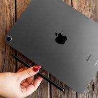 Fixed Stylet Graphite Pro pour Apple iPad – Noir