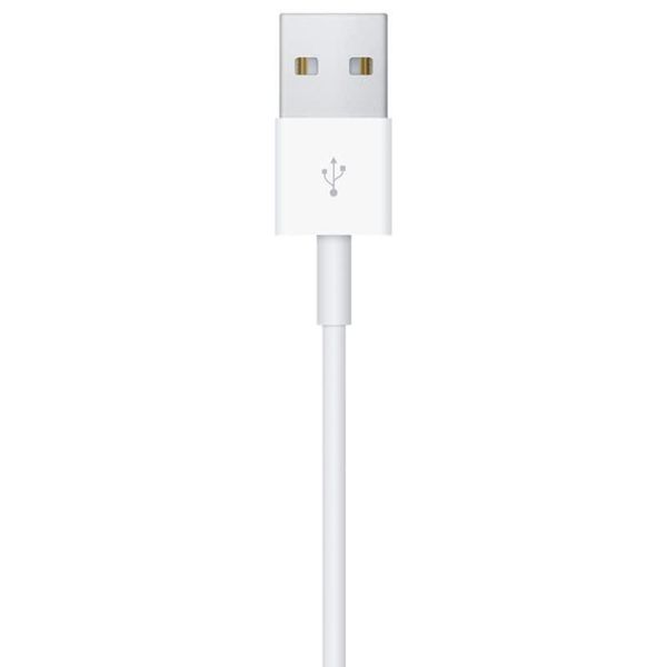 Apple ﻿Chargeur rapide magnétique vers USB-C Apple Watch - 2 mètre - Blanc