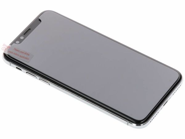 Selencia Protection d'écran en verre trempé Privacy Apple iPhone 11 Pro / Xs / X
