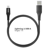 Accezz Câble Lightning vers USB - Certifié MFi - 1 mètre - Noir