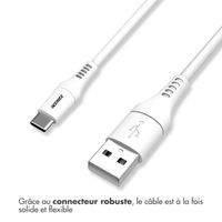 Accezz Câble USB-C vers USB - 1 mètre - Blanc