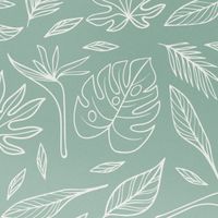 imoshion Coque Design Apple iPhone 16 Pro - Leaves Line-Art