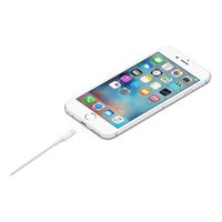 Apple Câble Lightning vers USB-A - 2 mètres - White