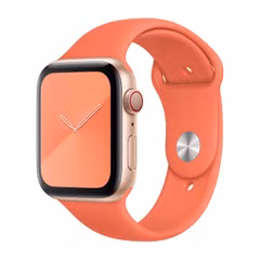 Apple Bracelet Sport Apple Watch | 38/40/41/42 mm - Taille S/M - Clementine