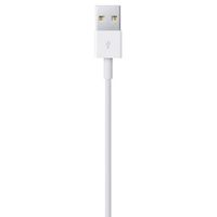 Apple Câble Lightning vers USB - 50 cm