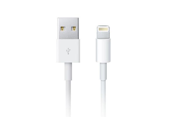 Apple Câble Lightning vers USB - 2 mètres