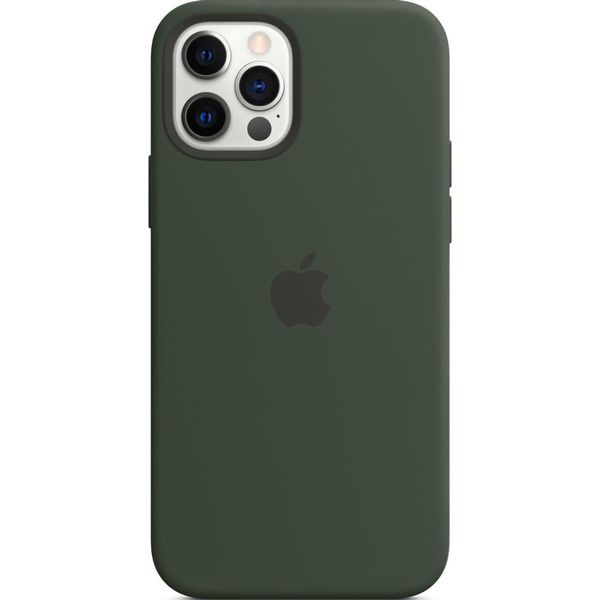 Apple Coque en silicone MagSafe iPhone 12 (Pro) - Cypress Green