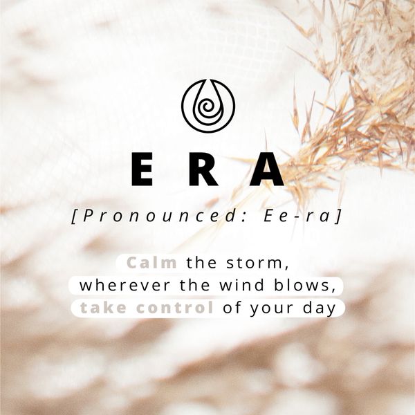 Selencia Étui portefeuille en cuir véritable Samsung Galaxy A42 - Marron