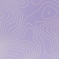 imoshion Coque Design Apple iPhone 16 Pro - Topo Lilac