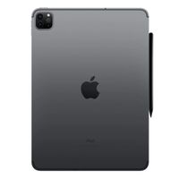 Fixed Stylet Graphite pour Apple iPad – Noir