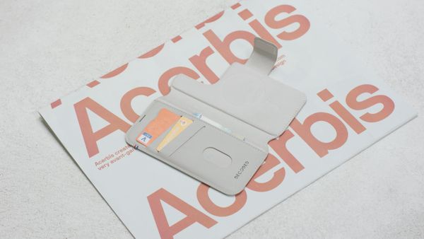 Decoded Portefeuille détachable 2 en 1 en cuir MagSafe Apple iPhone 16 Plus - Clay