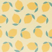 imoshion Coque Design Samsung Galaxy S24 FE - Citrus Dream