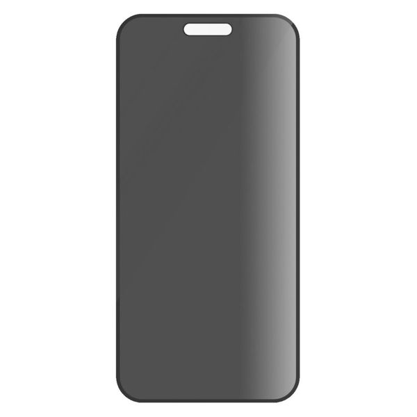 PanzerGlass ﻿Protection d'écran Privacy Ultra-Wide Fit Anti-bactérienne avec applicateur iPhone 16