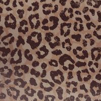 imoshion Coque Design Apple iPhone 17e / 16e - Leopard Mood