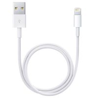 Apple Câble Lightning vers USB iPhone Xs Max - 50 cm