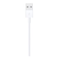 Apple Câble Lightning vers USB-A - 2 mètres - Blanc