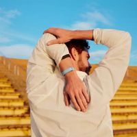 Google Performance Loop Band Fitbit Air - Fog