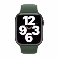 Apple Bracelet Boucle unique en Silicone Apple Watch | 38/40/41/42 mm - Taille 7 - Clover