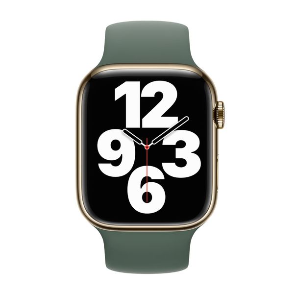 Apple Bracelet Boucle unique en Silicone Apple Watch Series 1 - 9 / SE (38/40/41 mm) | Series 10 / 11 (42 mm) - Taille 1 - Eucalyptus
