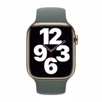Apple Bracelet Boucle unique en Silicone Apple Watch | 38/40/41/42 mm - Taille 4 - Eucalyptus