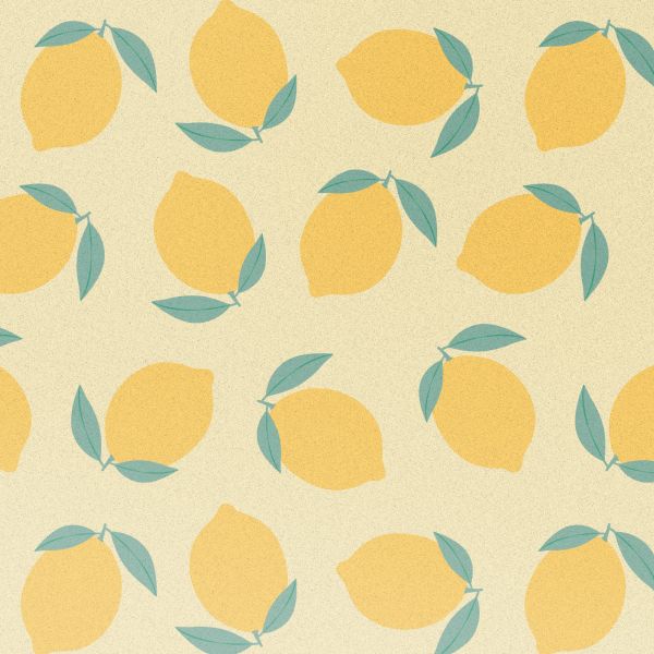 imoshion Coque Design Samsung Galaxy S24 FE - Citrus Dream