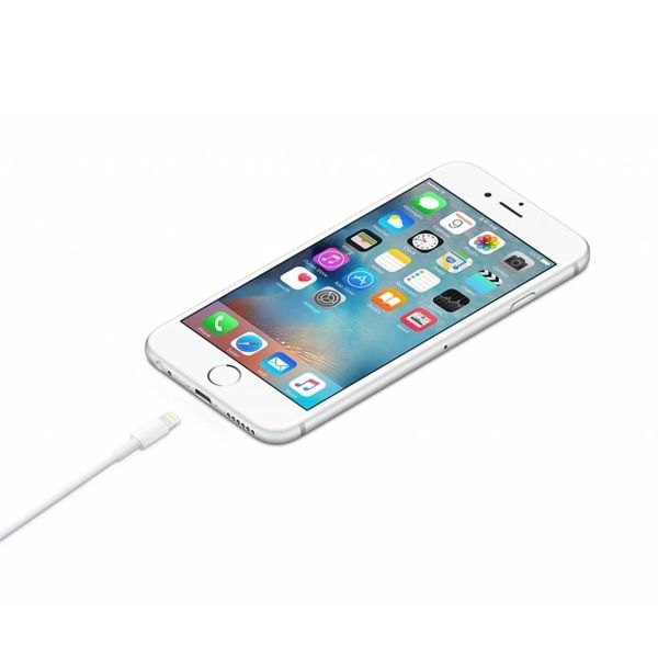 Apple Câble Lightning vers USB-A - 1 mètre - Blanc