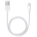 Apple Câble Lightning vers USB iPhone 13 - 50 cm