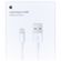 Apple Câble Lightning vers USB iPhone 13 - 50 cm